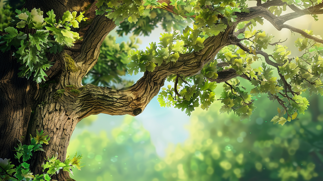 High quality cover banner of an oak tree clipart.