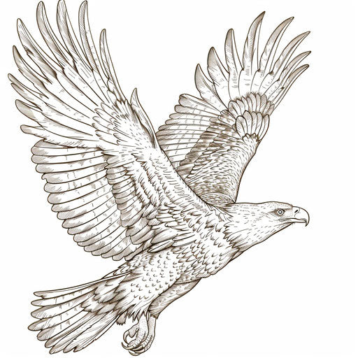 Eagle Coloring Page Art to Color – IMAGELLA