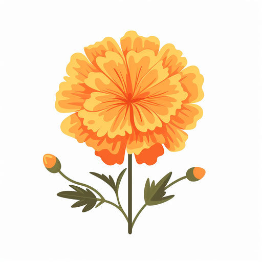 Marigold Clipart in Minimalist Art Style: Vector & 4K – IMAGELLA