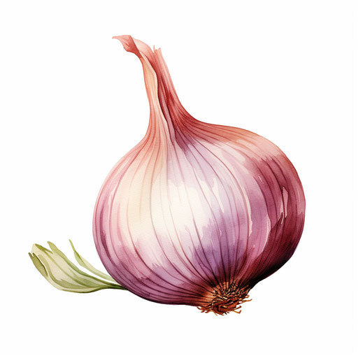 Onion Clipart in Pastel Colors Art Style: 4K, Vector & SVG Clipart ...