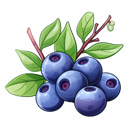 Blueberry Clipart in Pastel Colors Art Style Artwork: HD Vector & 4K ...