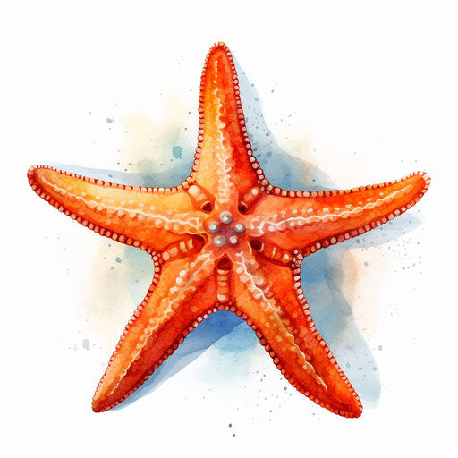 Starfish Clipart in Oil Painting Style: Vector & 4K – IMAGELLA