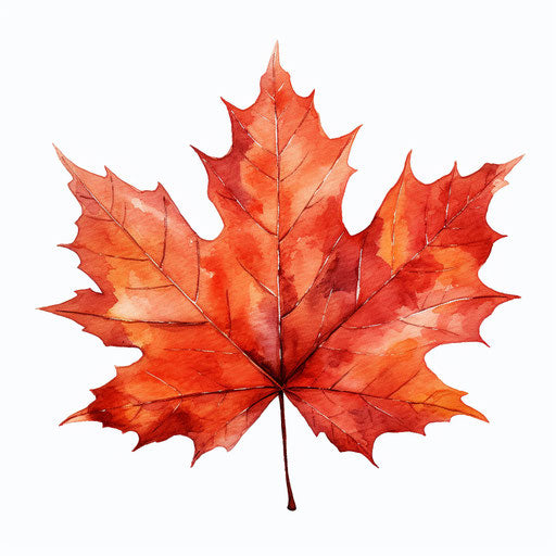 Maple Leaf Clipart: 4K & Vector in Oil Painting Style – IMAGELLA