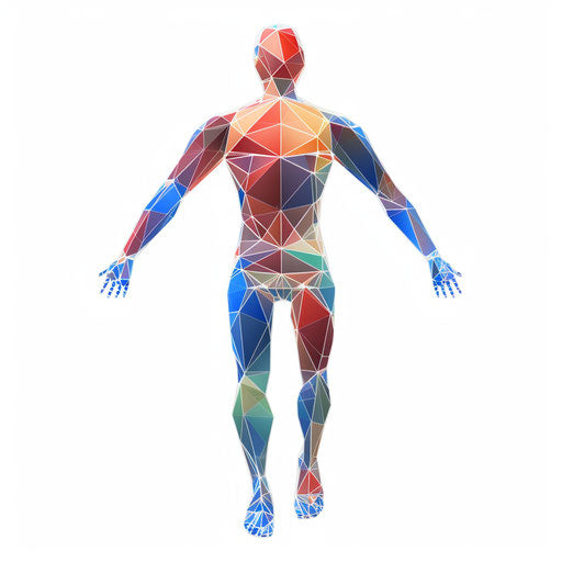 Human Body Clipart in Minimalist Art Style: Vector ARt, 4K, EPS, PNG ...