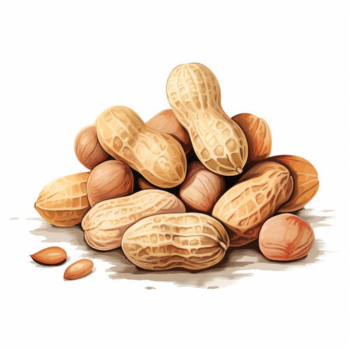 Peanut Clipart: 4K & Vector in Pastel Colors Art Style