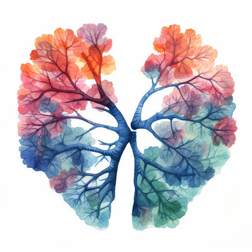 Lungs Image in Oil Painting Style: Vector Clipart in 4K – IMAGELLA